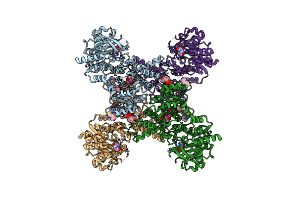 8UVA image