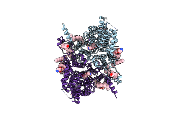 8UVD image