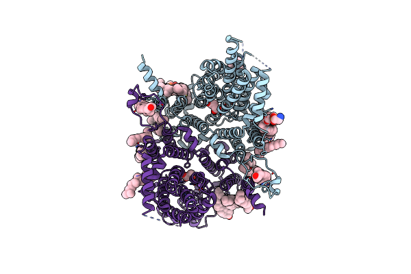 8UVE image