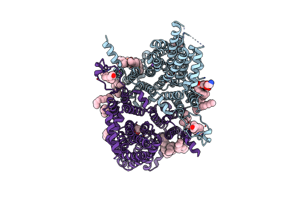8UVG image