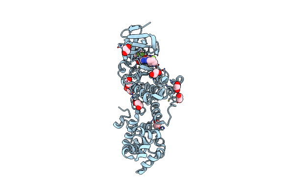 8UVL image
