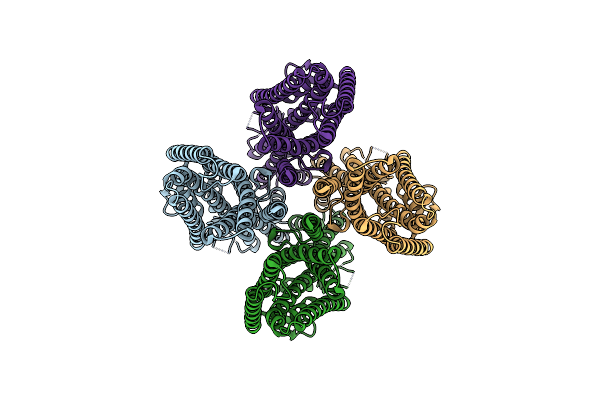 8UVT image