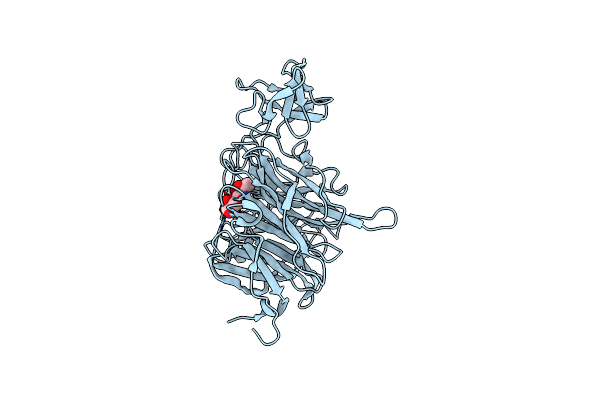 8UVV image