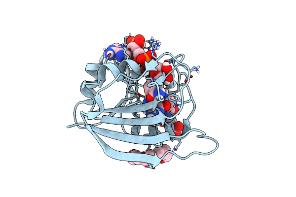8UVZ image