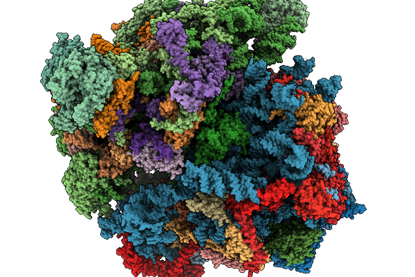 8UXA image