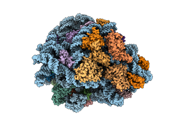 8UXB image