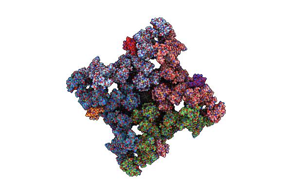 8UXF image