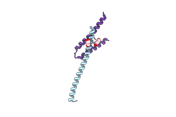 8UZ8 image