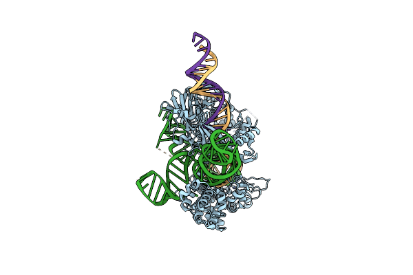 8UZA image