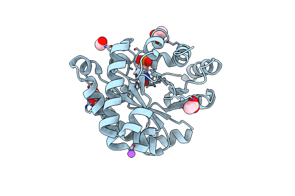 8V09 image