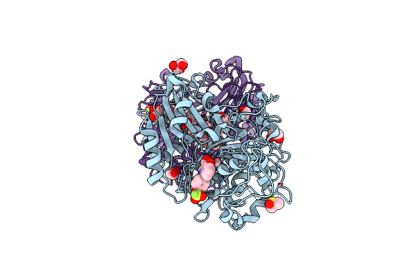 8V0B image
