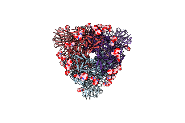 8V0L image