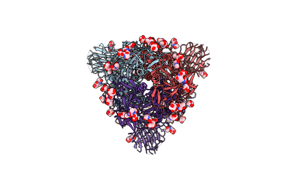 8V0V image