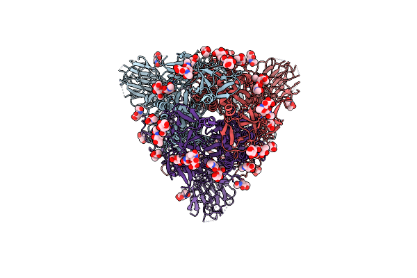 8V0W image