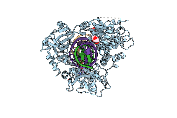 8V1W image