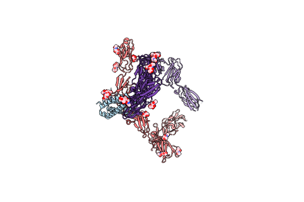 8V29 image