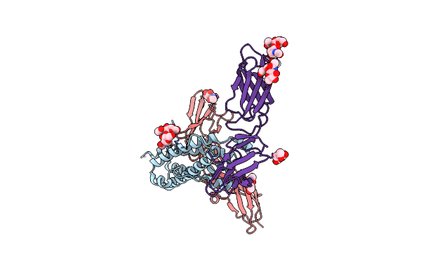 8V2A image