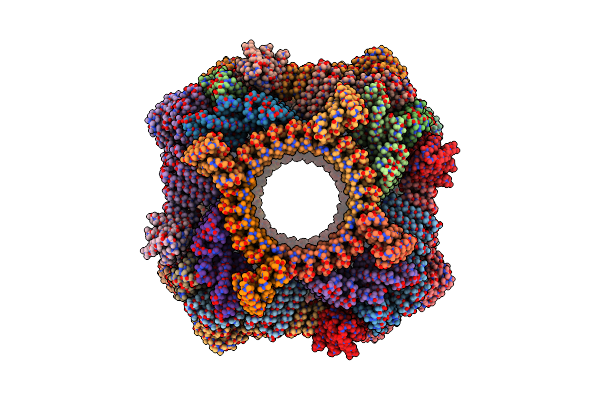8V2D image
