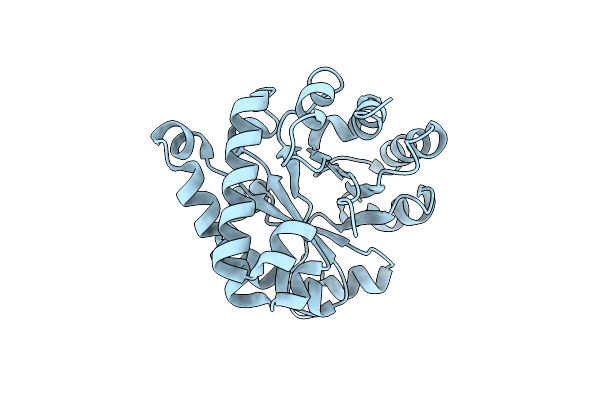 8V2X image