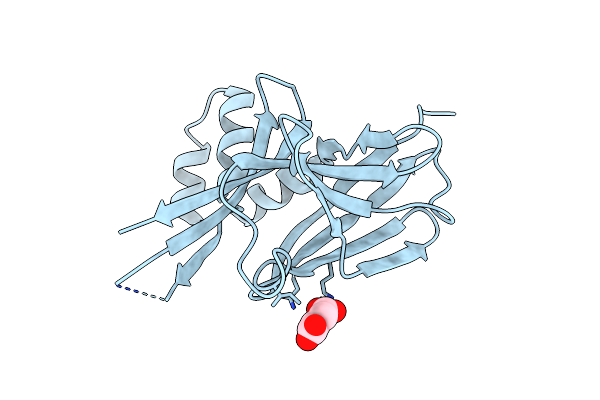 8V33 image