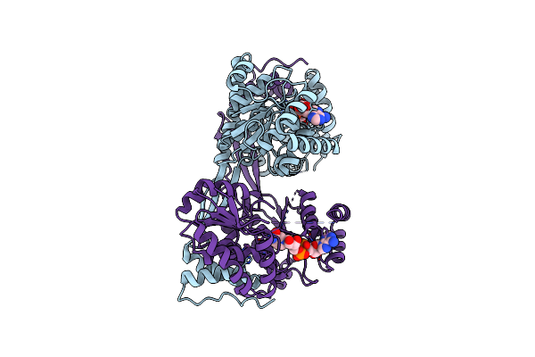 8V36 image