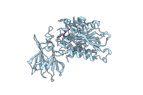 8V3P image