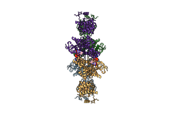 8V3V image