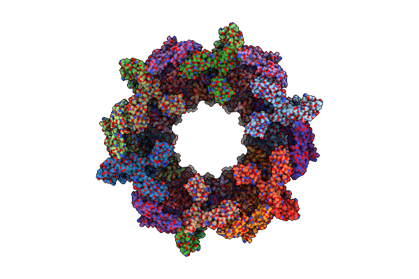 8V41 image