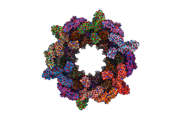 8V43 image