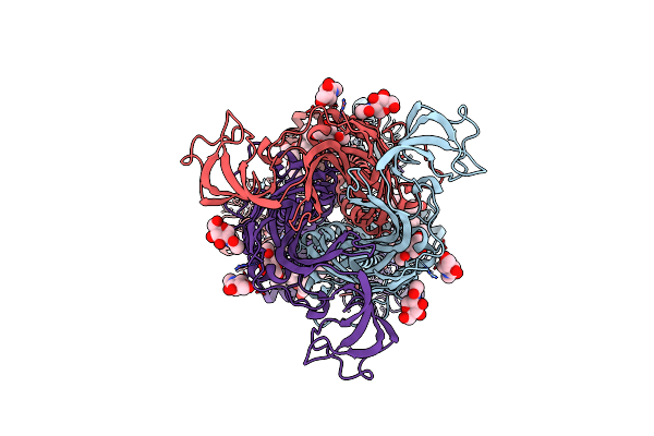 8V4S image