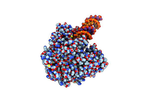8V55 image