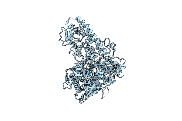 8V5D image