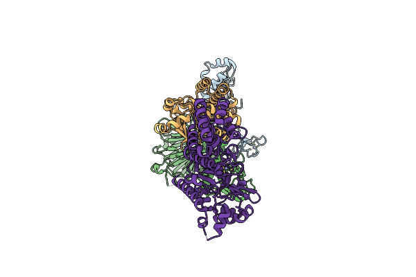 8V5O image