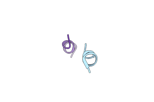 8V5W image