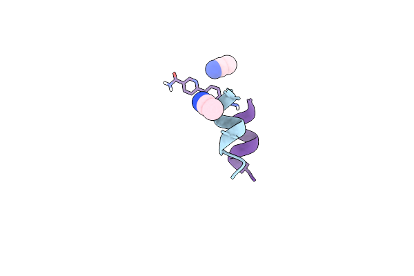 8V5X image