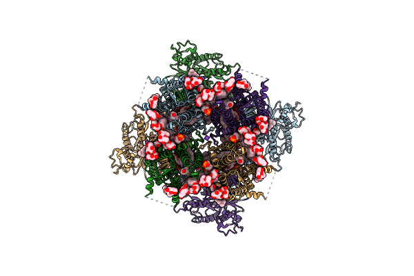 8V60 image