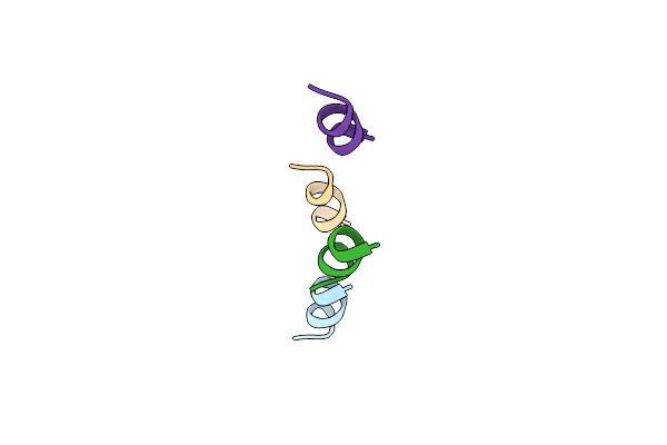 8V61 image
