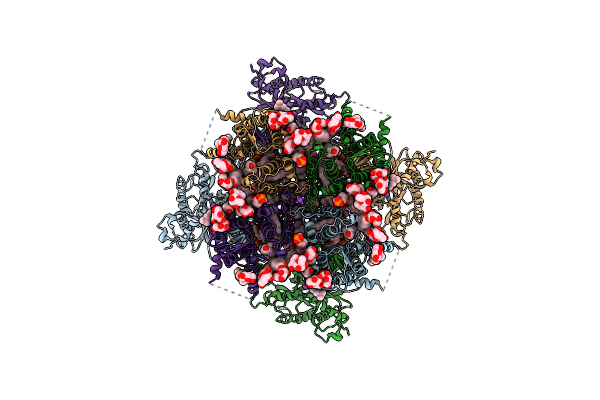 8V63 image