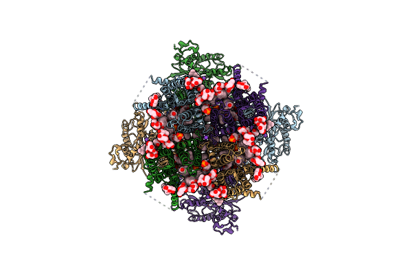 8V64 image
