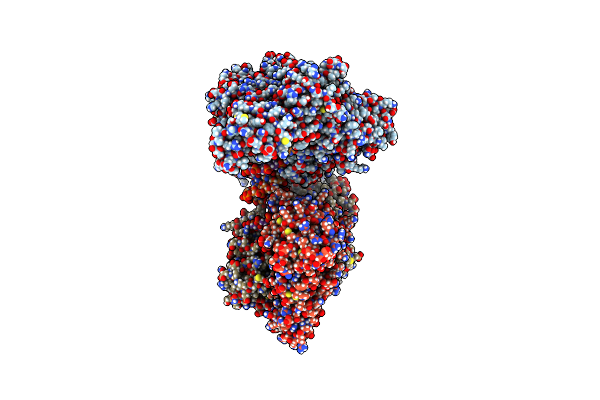 8V6I image