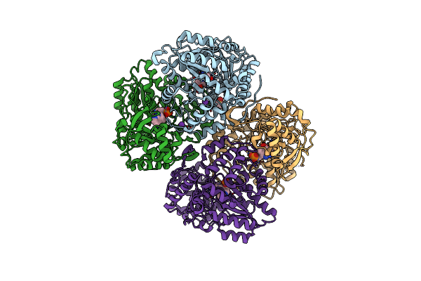 8V6P image