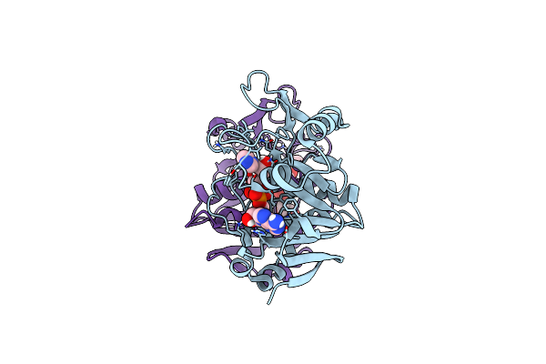 8V6S image