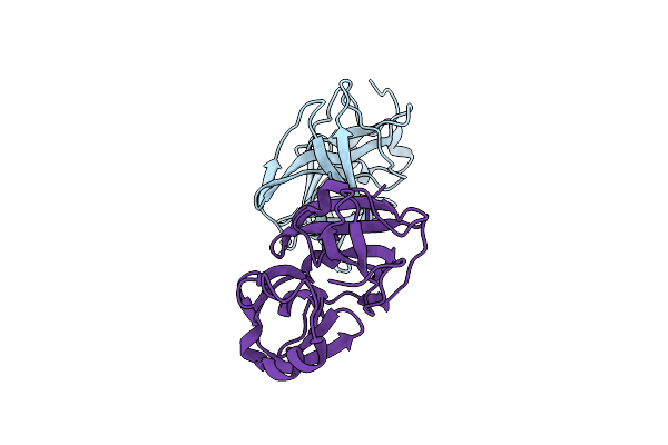 8V7W image