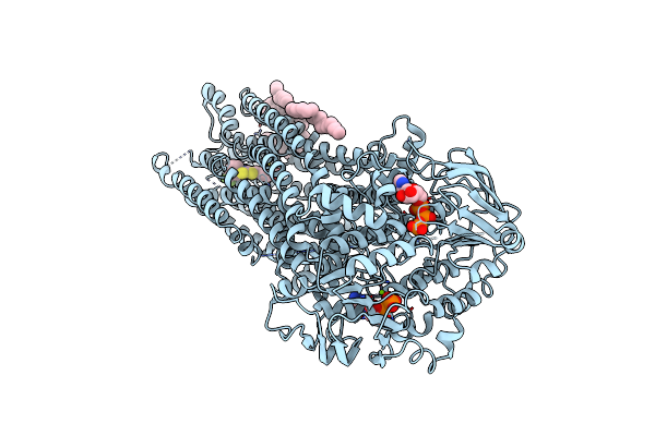 8V81 image