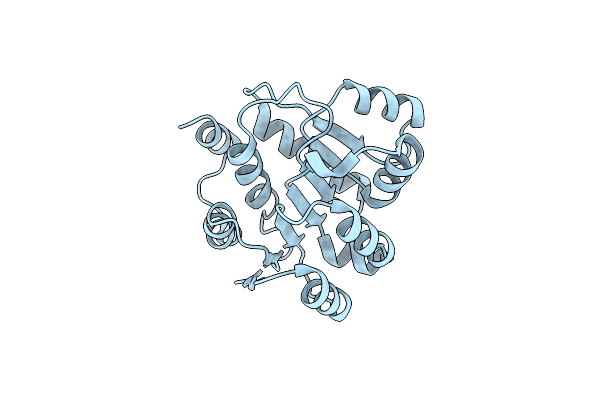 8V85 image
