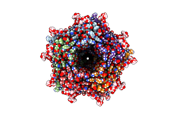 8V86 image