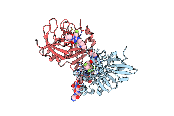 8V8E image