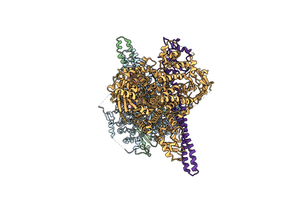 8V8H image