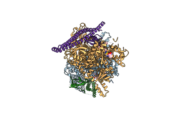 8V8I image