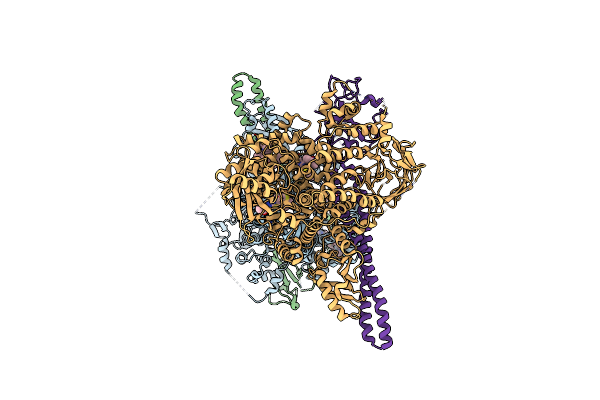 8V8J image
